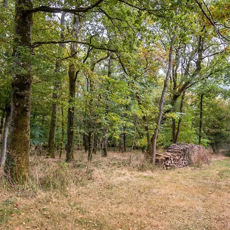 Chateau La Séchère *