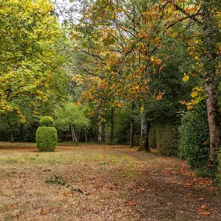 Couette-café Chateau La Séchère *