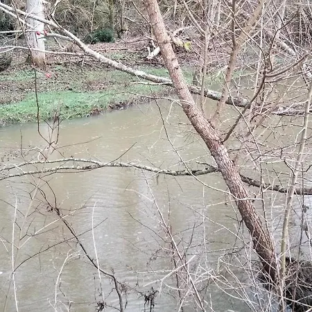 Couette-café Chateau La Séchère *